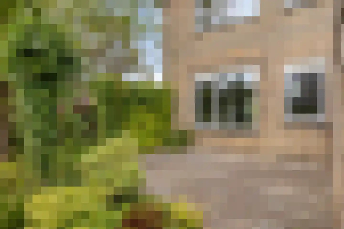 Westhove 38 Roden thumbnail 30