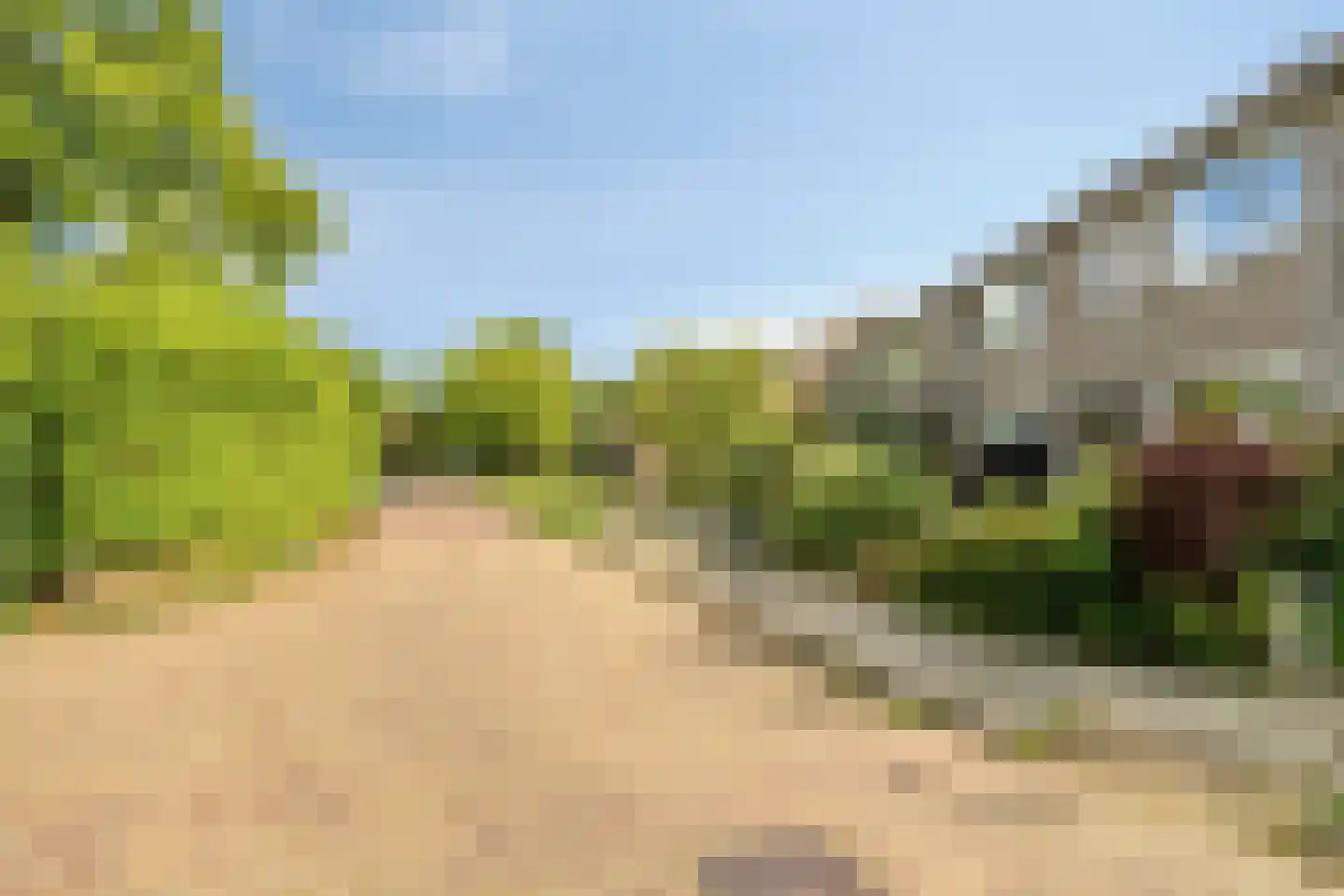 Westhove 38 Roden thumbnail 9