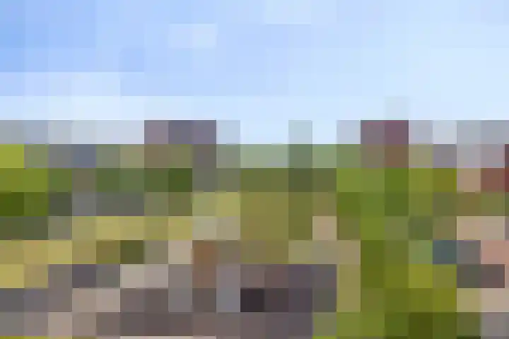 Westhove 45 Amstelveen thumbnail 16