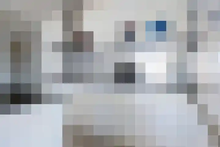 Westhove 45 Amstelveen thumbnail 7