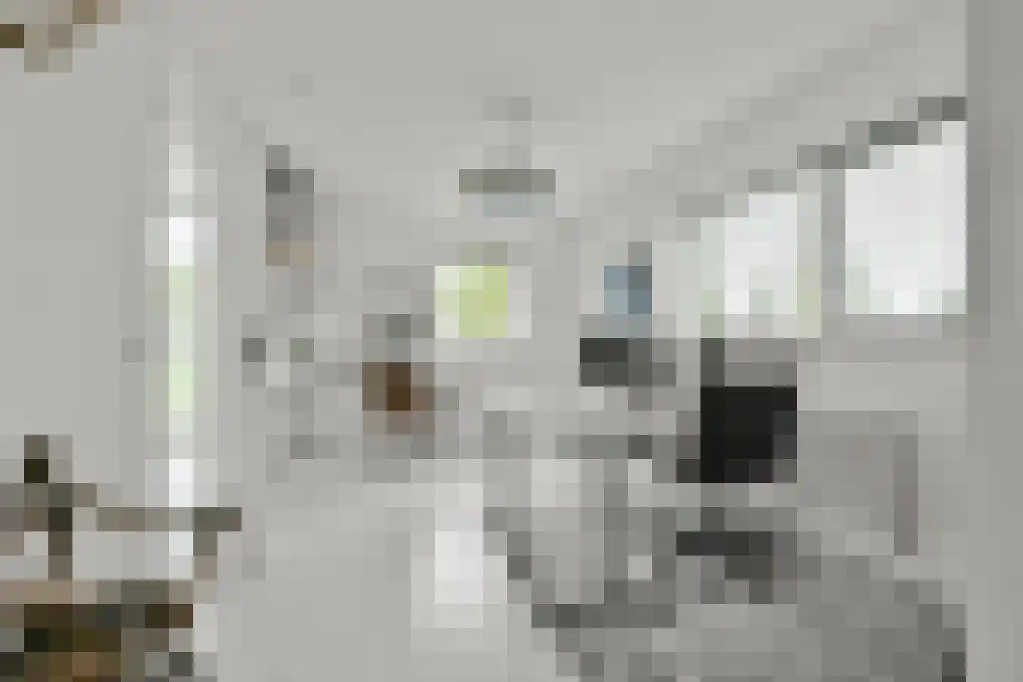 Westhove 53 Hoofddorp thumbnail 33