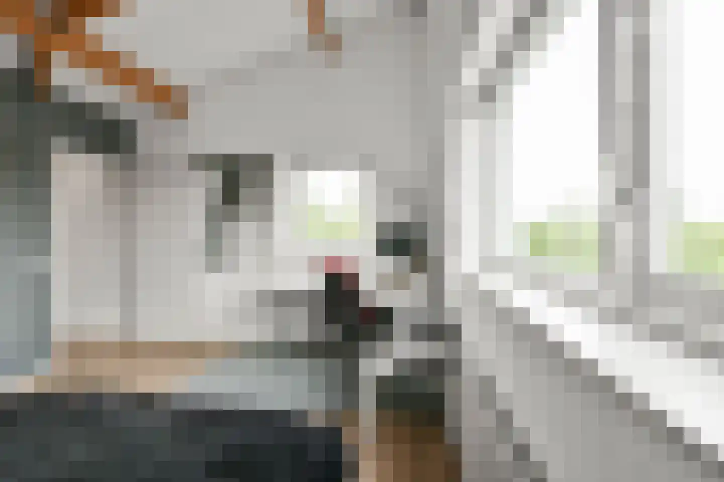 Westhove 53 Hoofddorp thumbnail 45