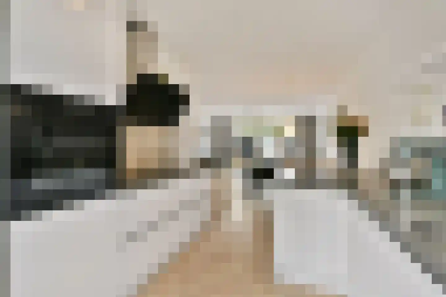 Westhove 72 Amstelveen thumbnail 10