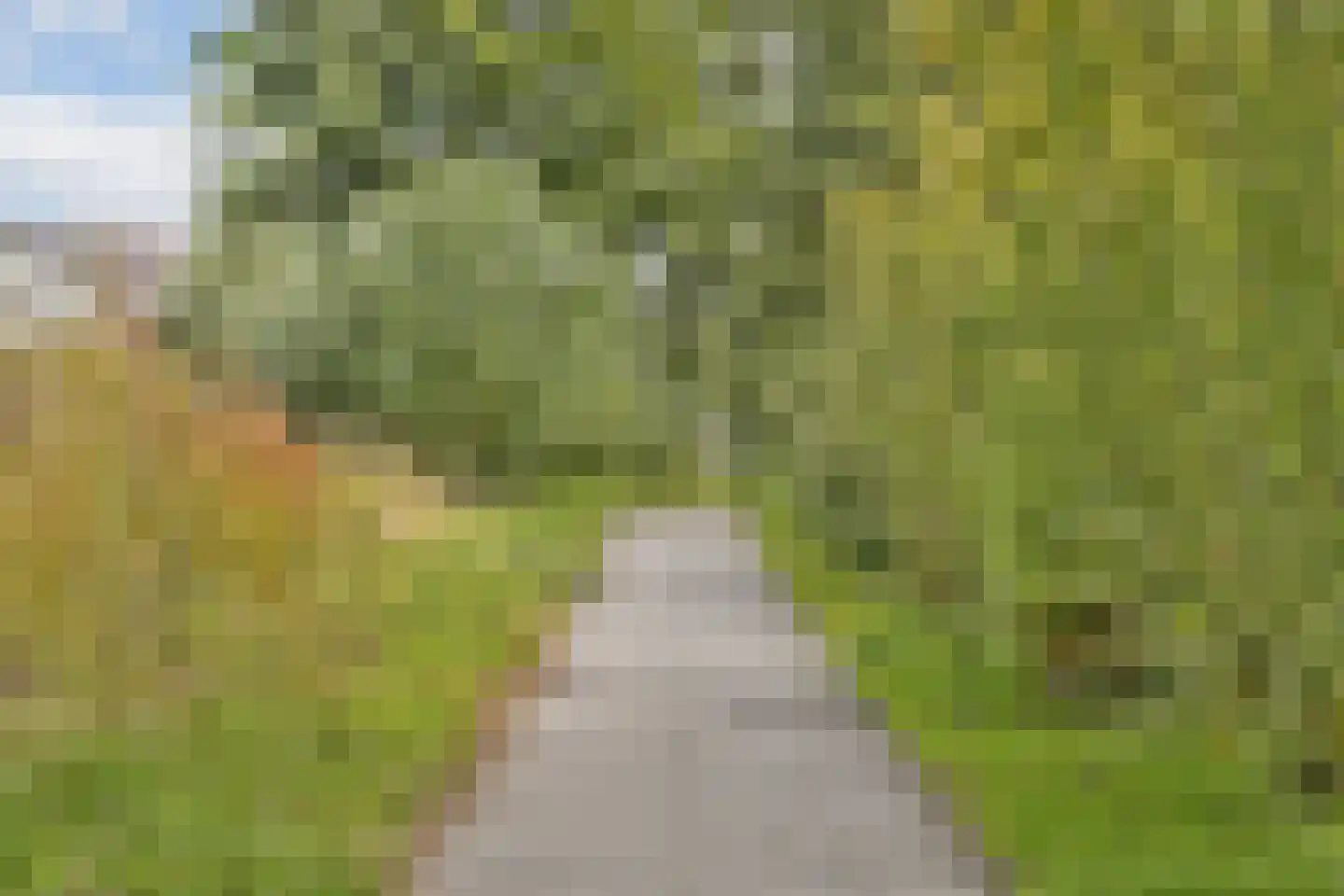 Westhove 72 Amstelveen thumbnail 26