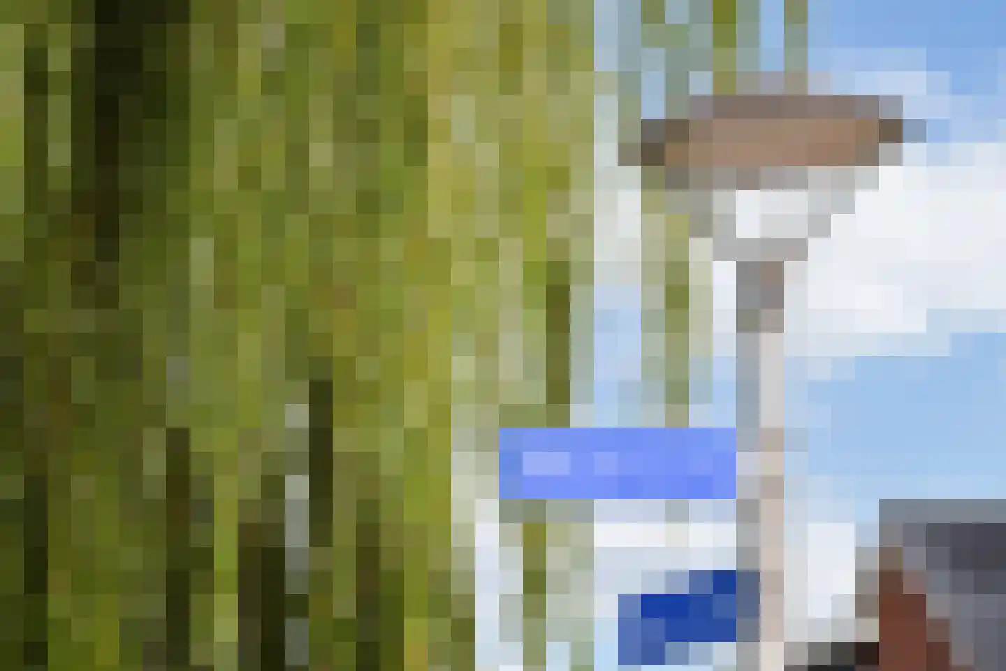 Westhove 72 Amstelveen thumbnail 27