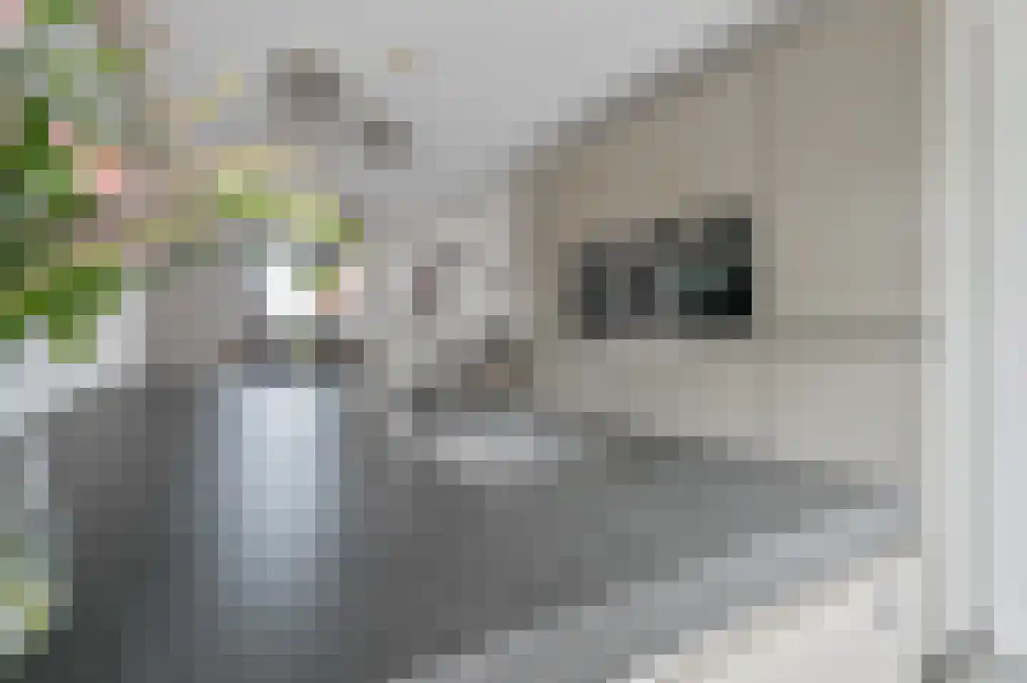 Westhove 79 Amstelveen thumbnail 10