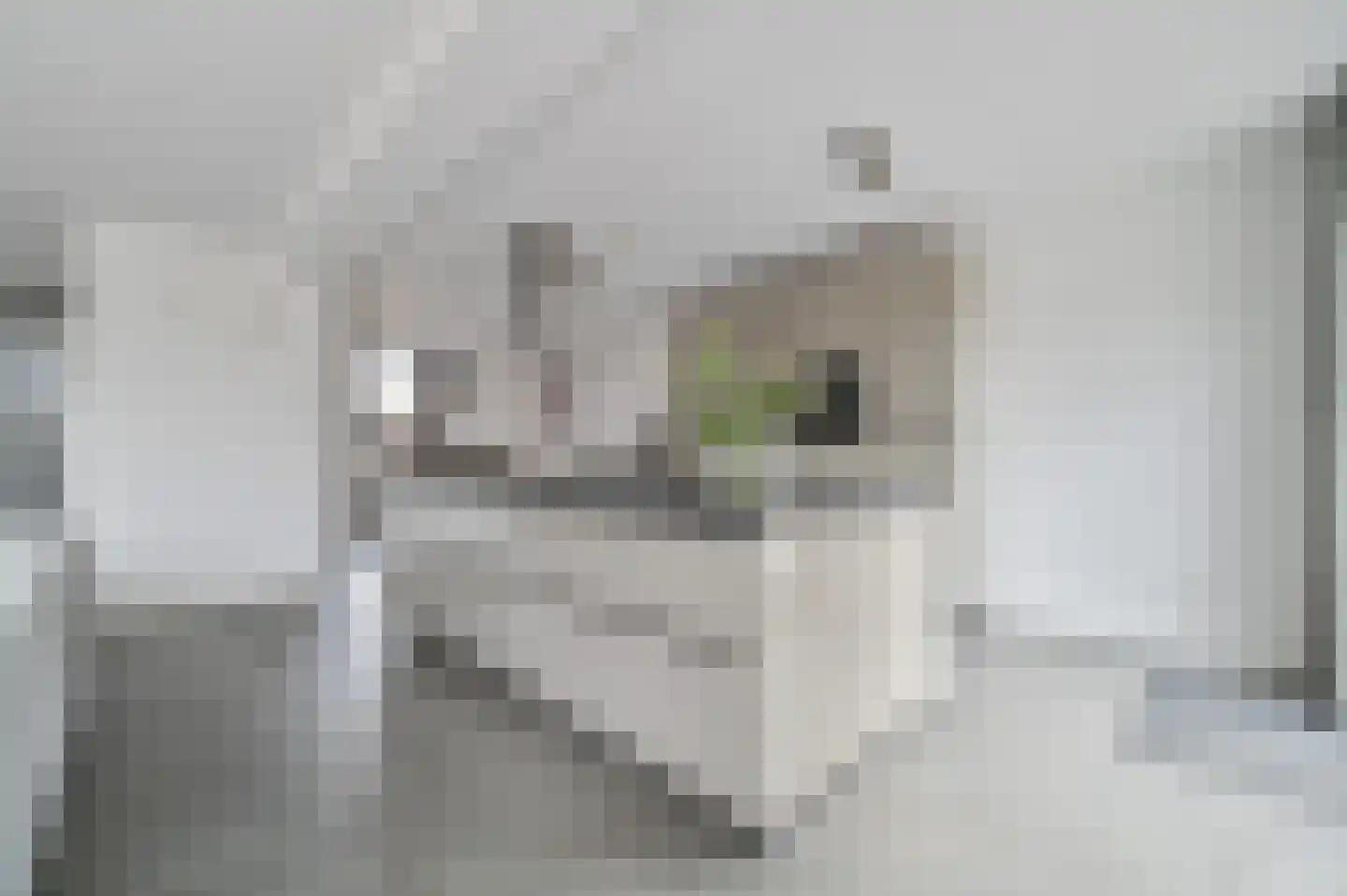 Westhove 79 Amstelveen thumbnail 7