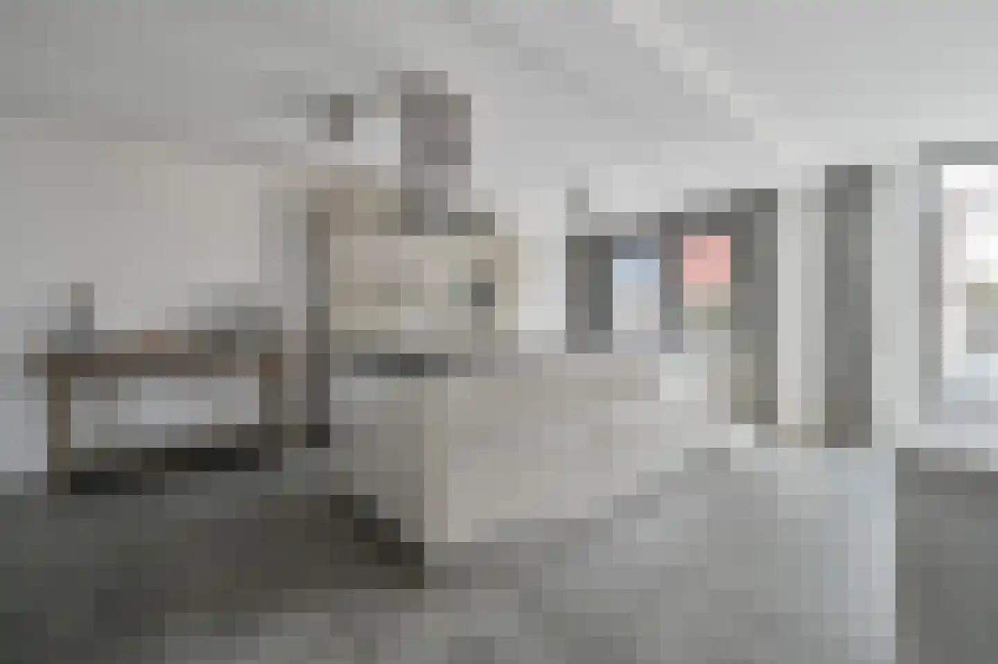 Westhove 79 Amstelveen thumbnail 8