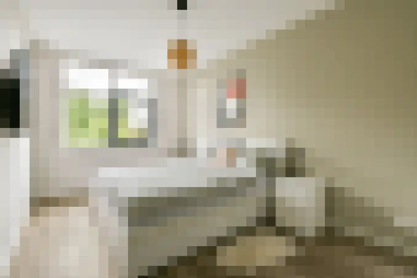 Westhove 82 Amstelveen thumbnail 12