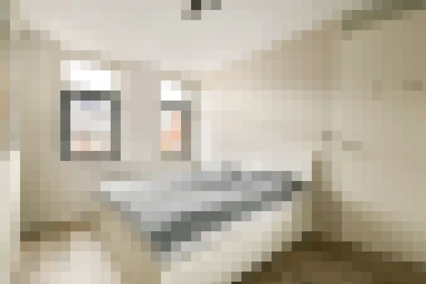 Westhove 82 Amstelveen thumbnail 16