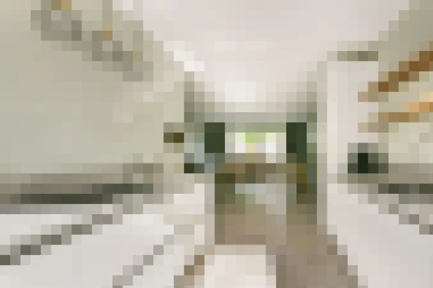 Westhove 82 Amstelveen thumbnail 7