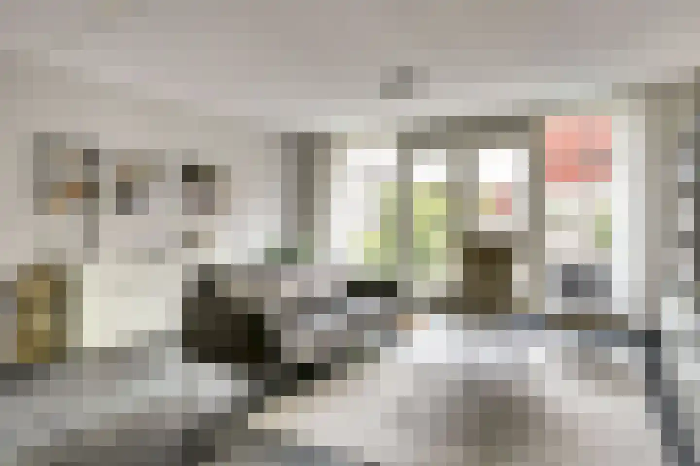 Westhove 87 Amstelveen thumbnail 18