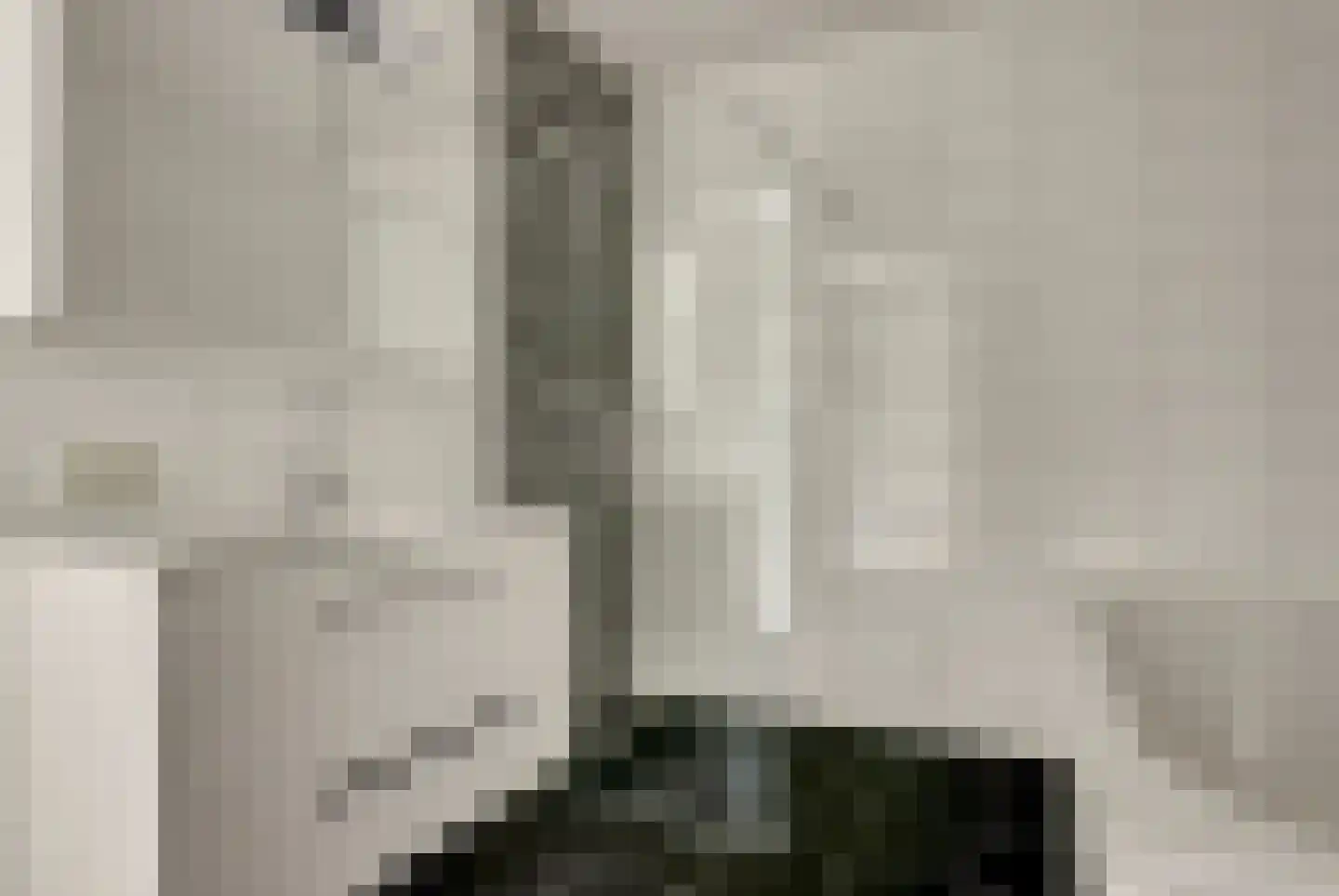 Westhove 87 Amstelveen thumbnail 33