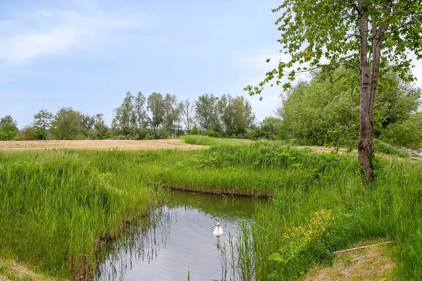 Westhoven 136 Lelystad thumbnail 70