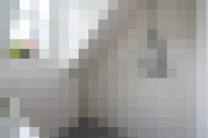 Westinghousestraat 11 Utrecht thumbnail 43