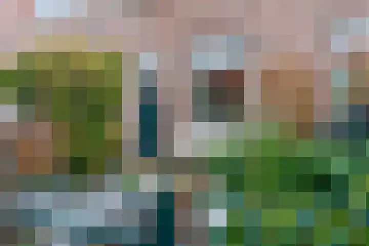 Westinghousestraat 11 Utrecht thumbnail 8