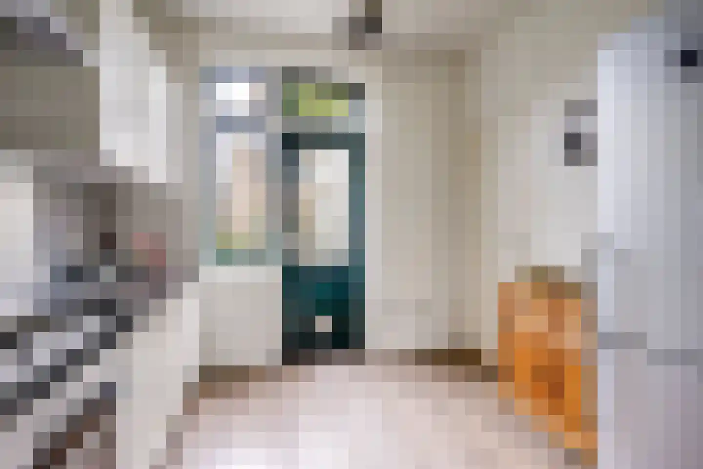 Westinghousestraat 22 Utrecht thumbnail 20