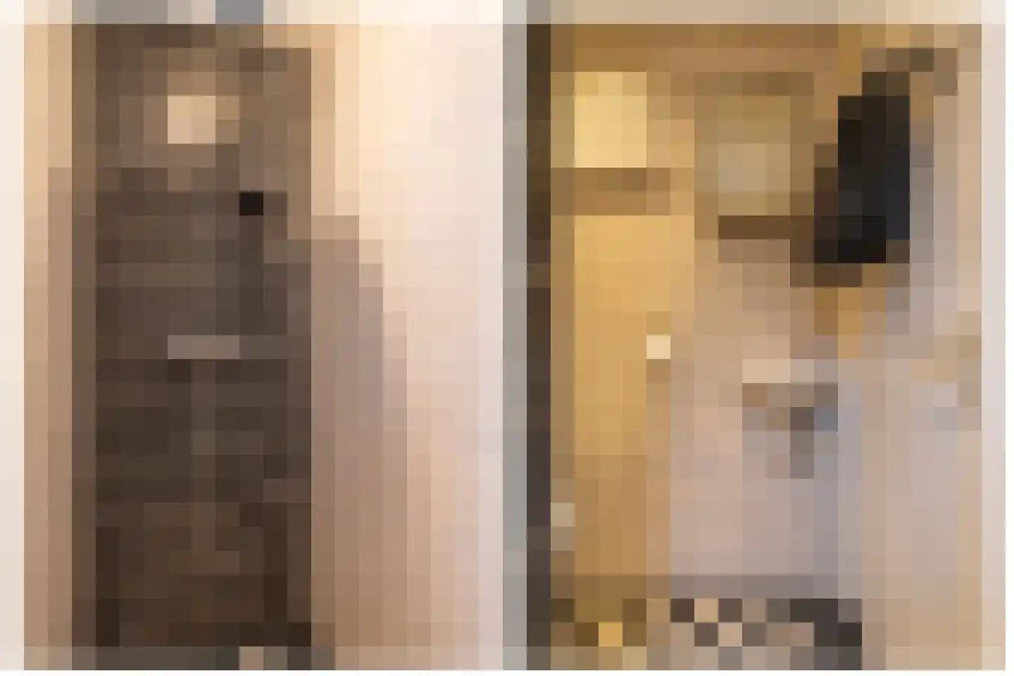 Westinghousestraat 22 Utrecht thumbnail 35