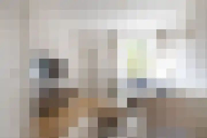 Westinghousestraat 26 Utrecht thumbnail 11