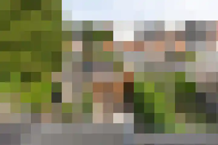 Westinghousestraat 26 Utrecht thumbnail 35