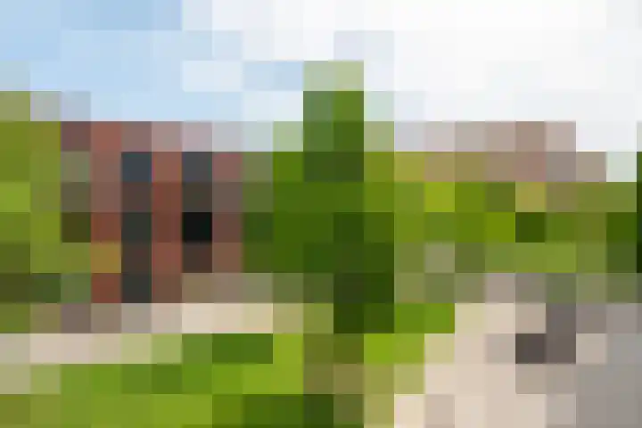 Westinghousestraat 30 Groningen thumbnail 6