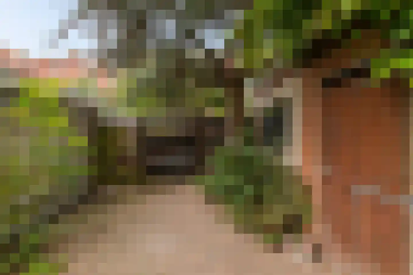Westinghousestraat 43 Groningen thumbnail 13