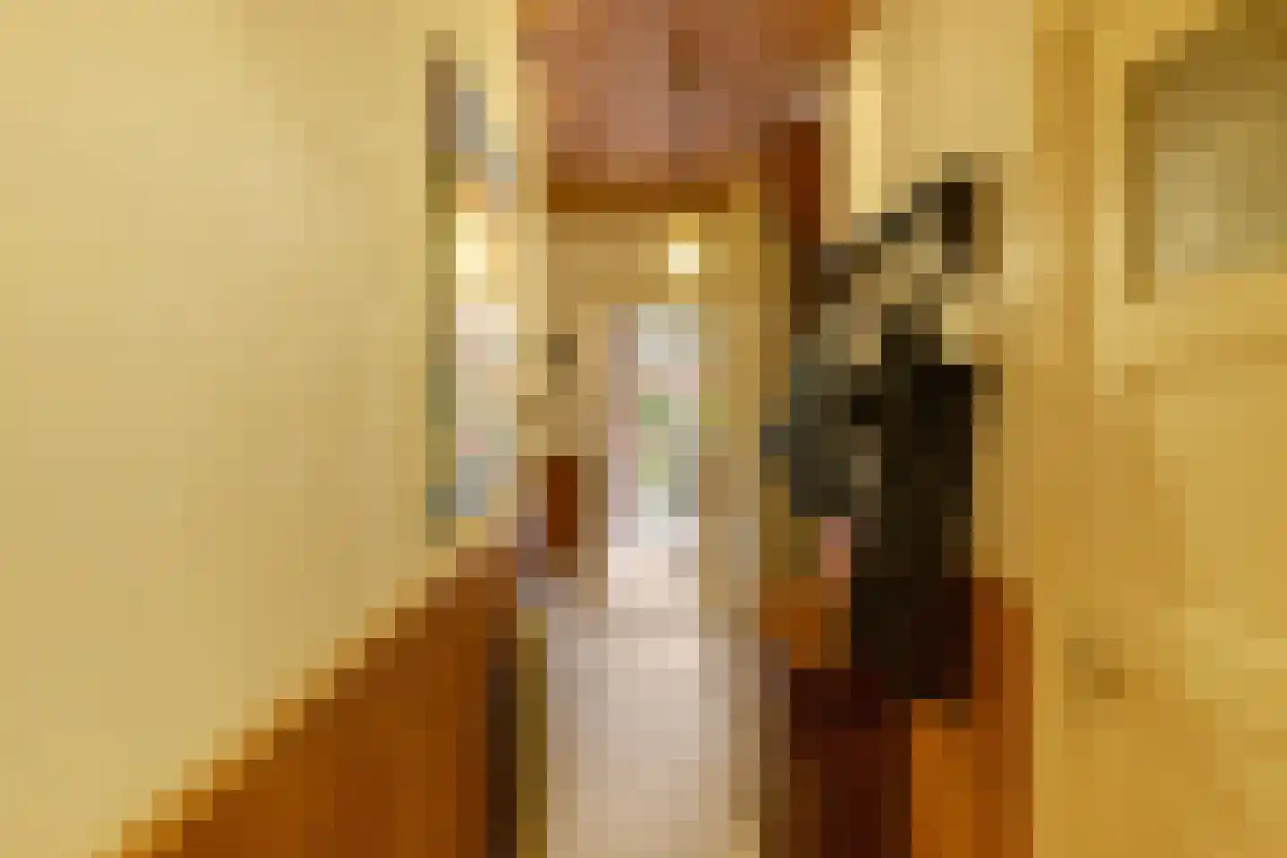 Westinghousestraat 43 Groningen thumbnail 9