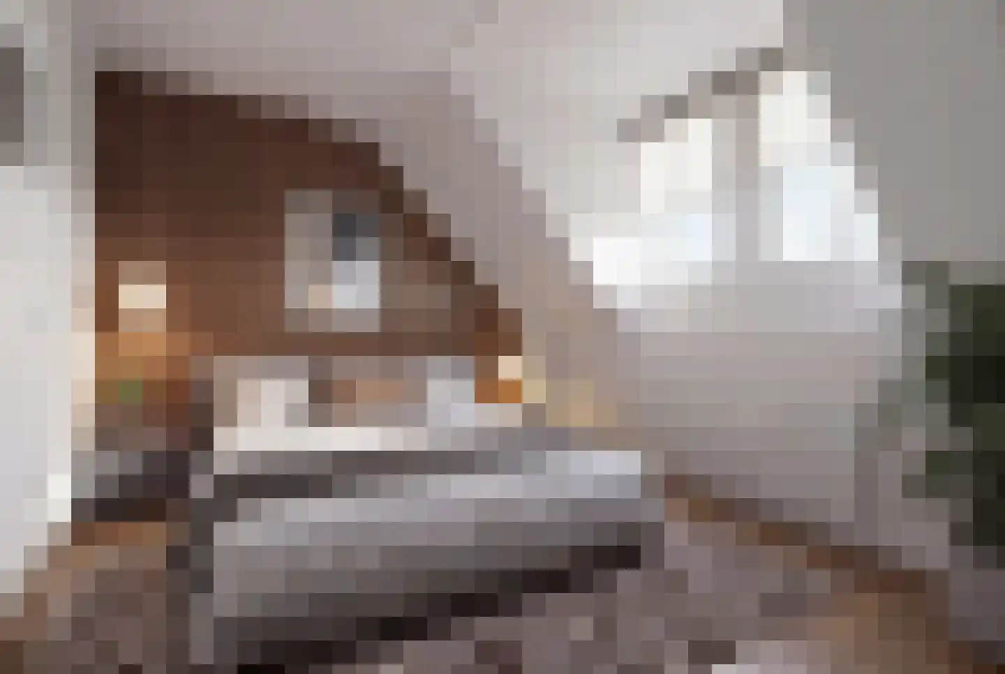 Westinghousestraat 51 Utrecht thumbnail 17