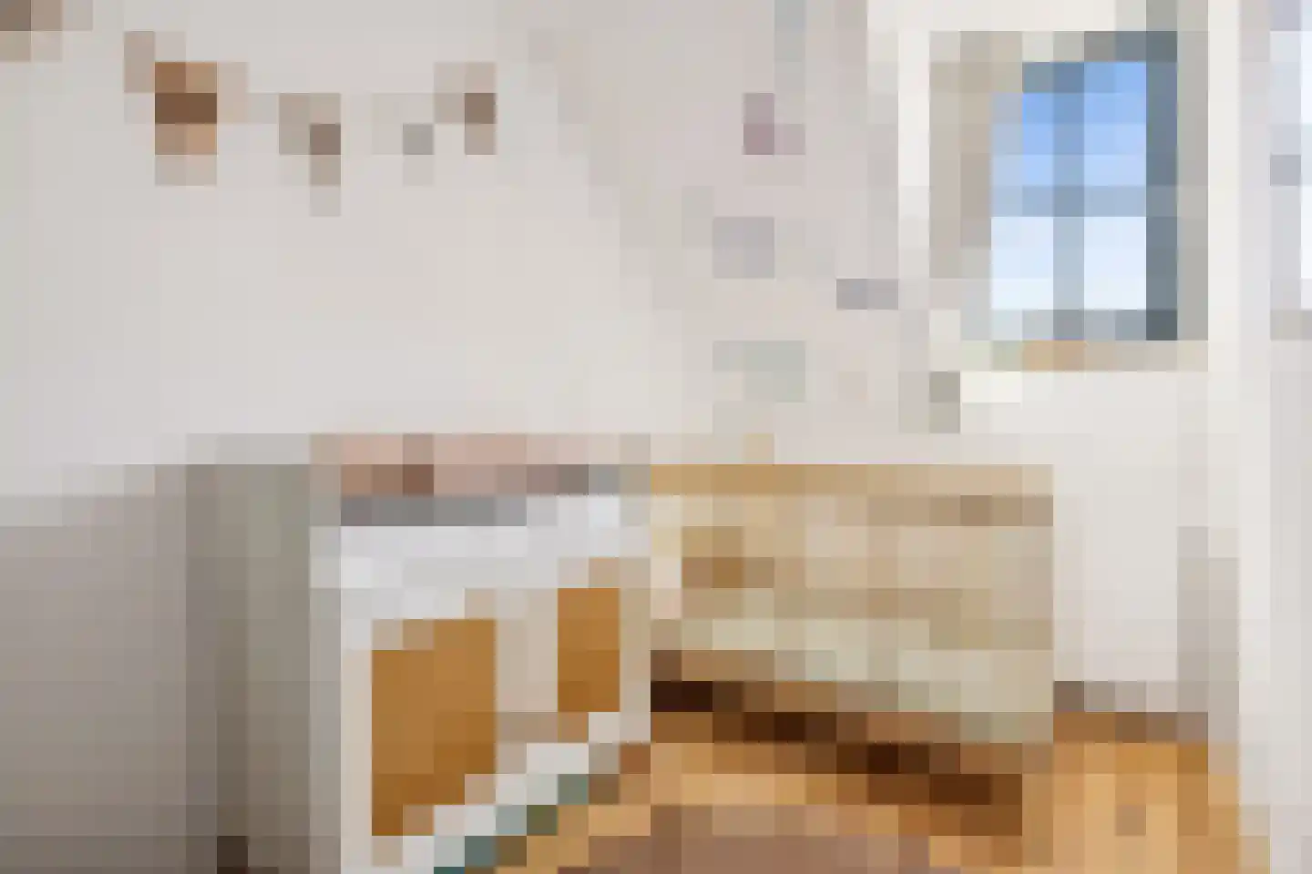 Westinghousestraat 55 Utrecht thumbnail 29