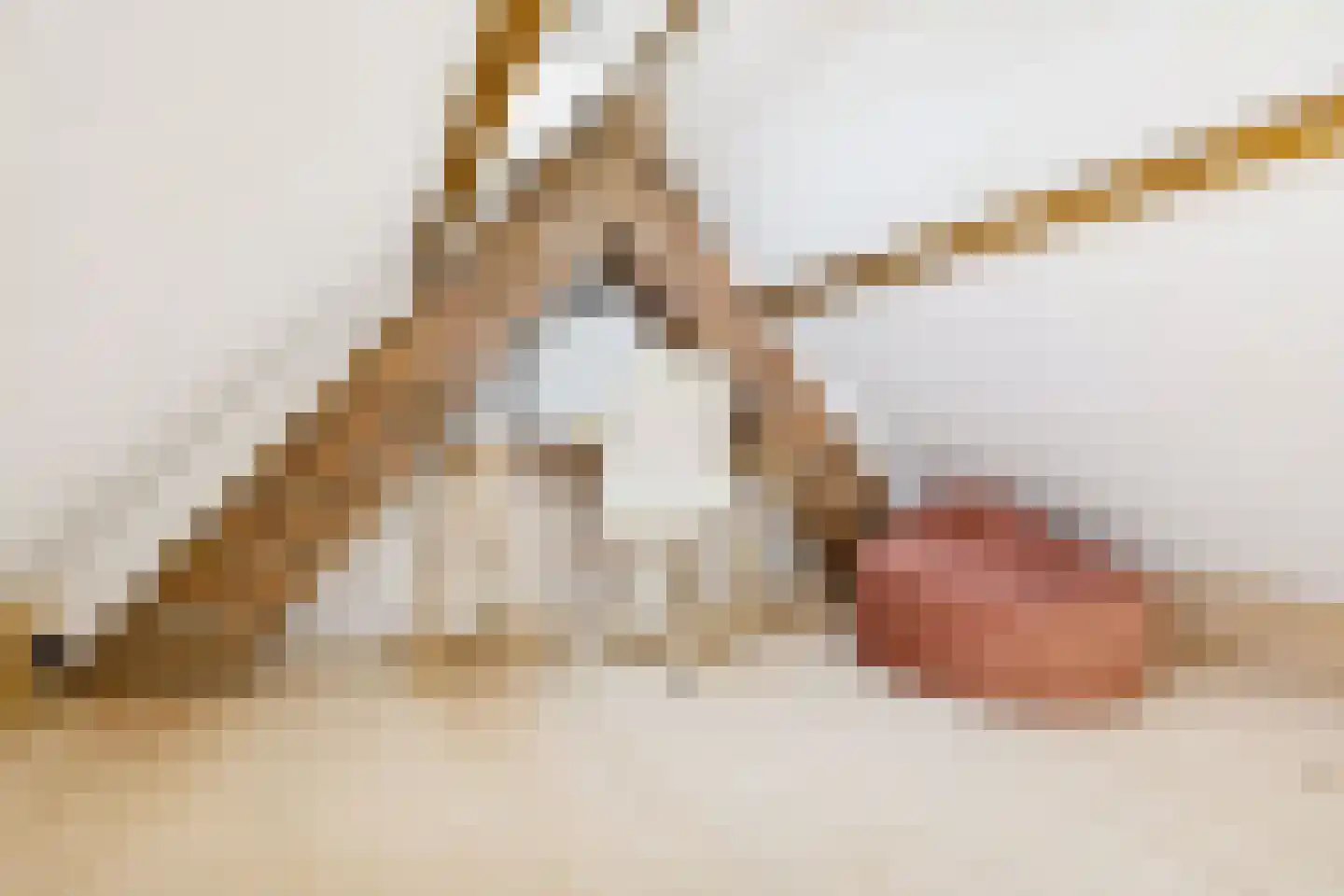 Westinghousestraat 55 Utrecht thumbnail 36