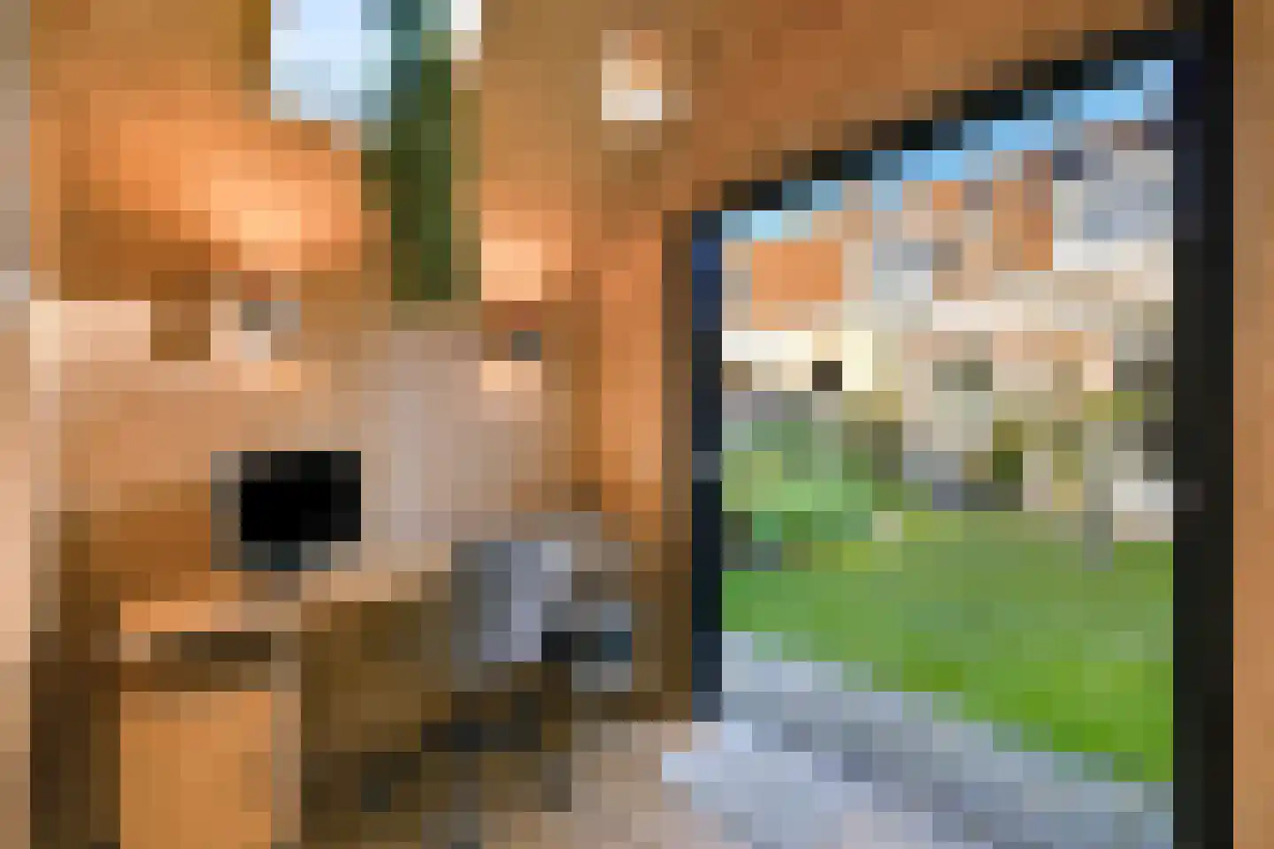 Westinghousestraat 57 Utrecht thumbnail 21