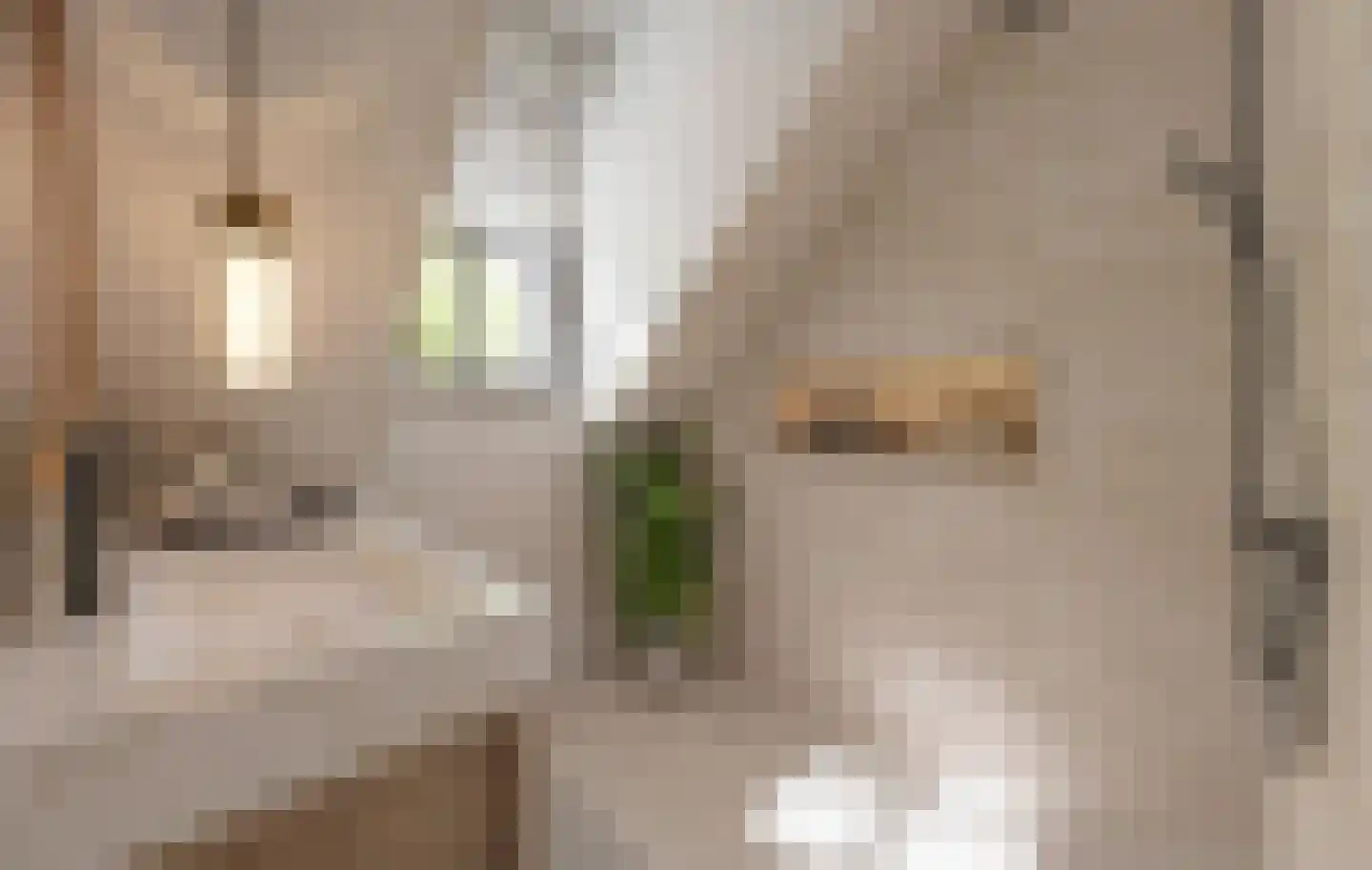 Westinghousestraat 59 Utrecht thumbnail 23