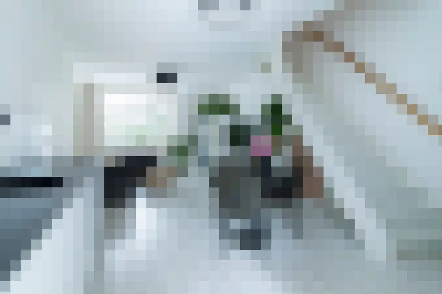 Westinghousestraat 65 Utrecht thumbnail 15