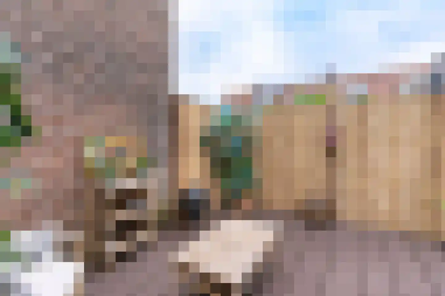 Westinghousestraat 65 Utrecht thumbnail 16