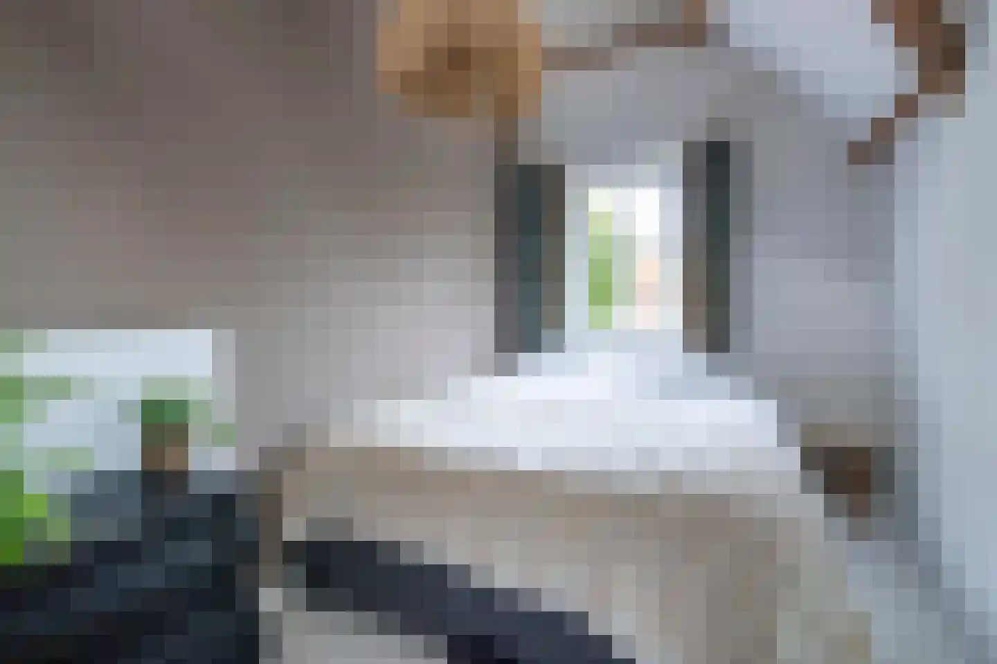 Westinghousestraat 65 Utrecht thumbnail 26