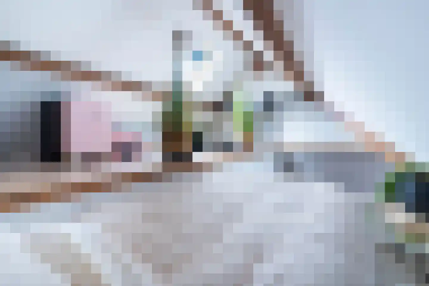 Westinghousestraat 65 Utrecht thumbnail 29