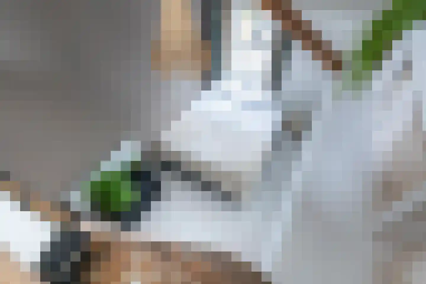 Westinghousestraat 65 Utrecht thumbnail 30
