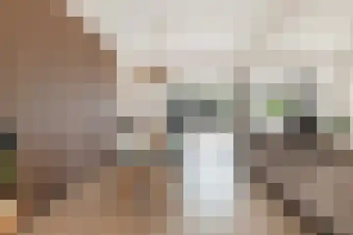 Westkaap 12 Lelystad thumbnail 13
