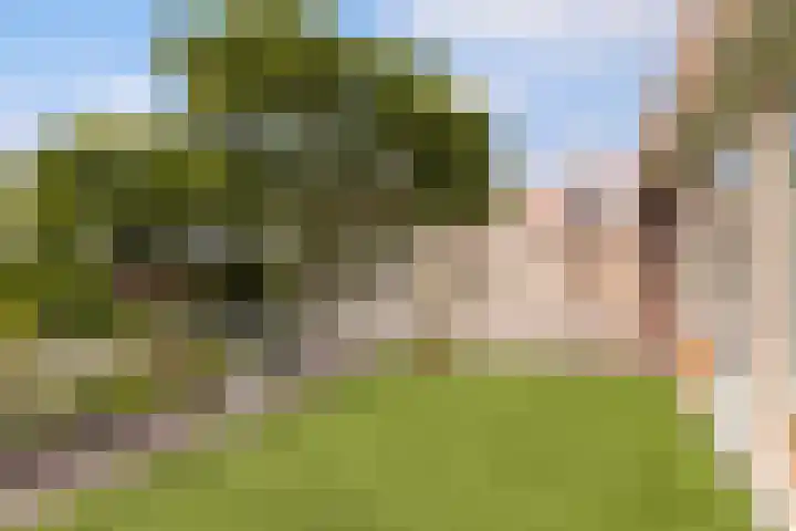 Westkaap 12 Lelystad thumbnail 31