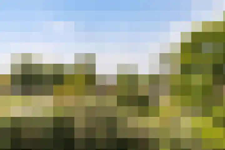 Westkaap 12 Lelystad thumbnail 37
