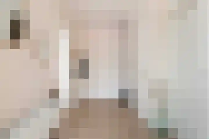 Westkaap 12 Lelystad thumbnail 5