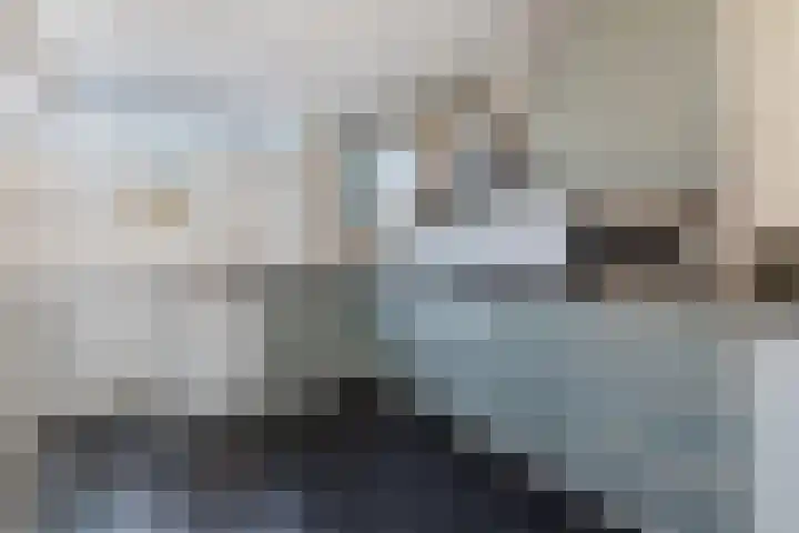 Westkaap 49 Lelystad thumbnail 6