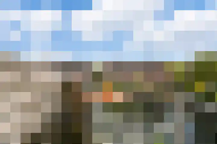 Westkade 100 Huizen thumbnail 18
