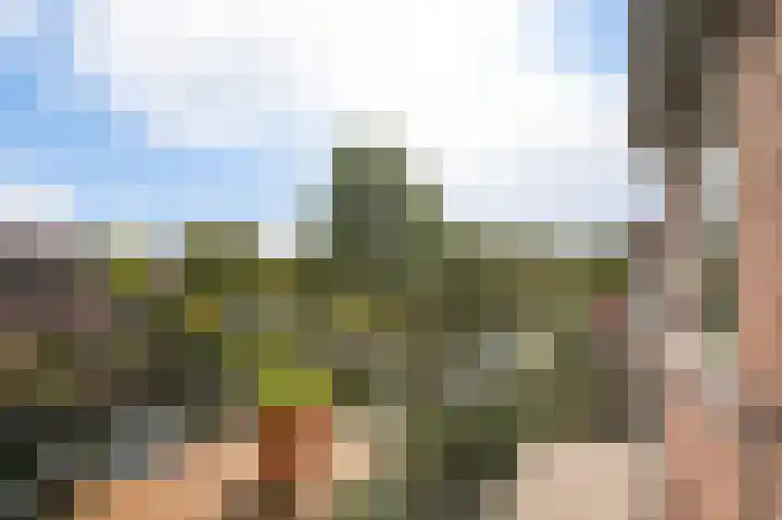 Westkade 100 Huizen thumbnail 19