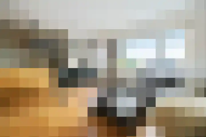 Westkade 100 Huizen foto 2