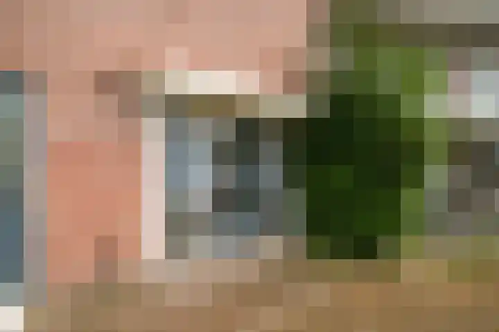 Westkade 100 Huizen thumbnail 21