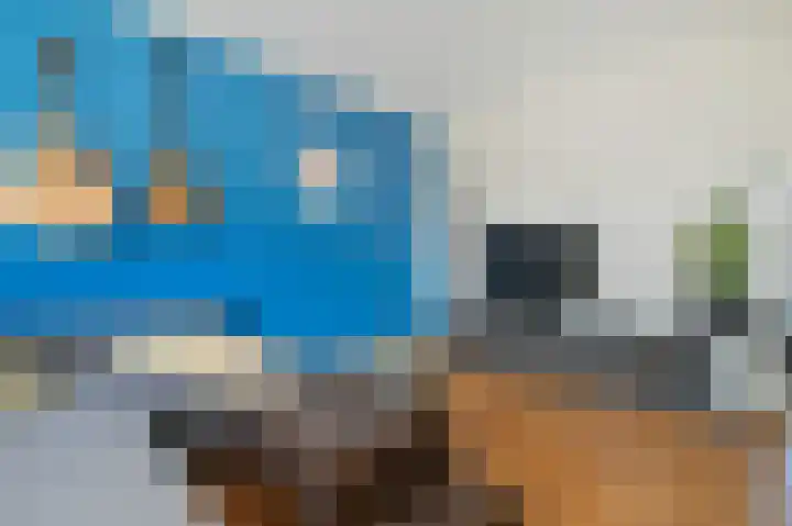 Westkade 100 Huizen thumbnail 5