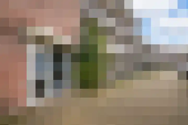 Westkade 102 Huizen thumbnail 22