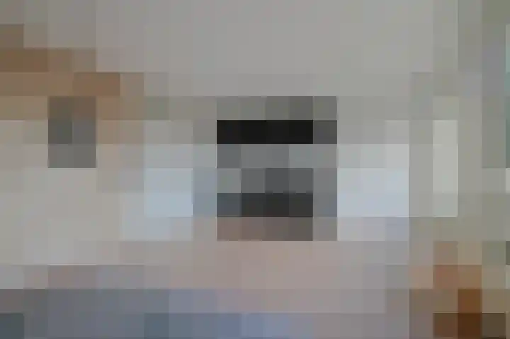 Westkade 102 Huizen thumbnail 6