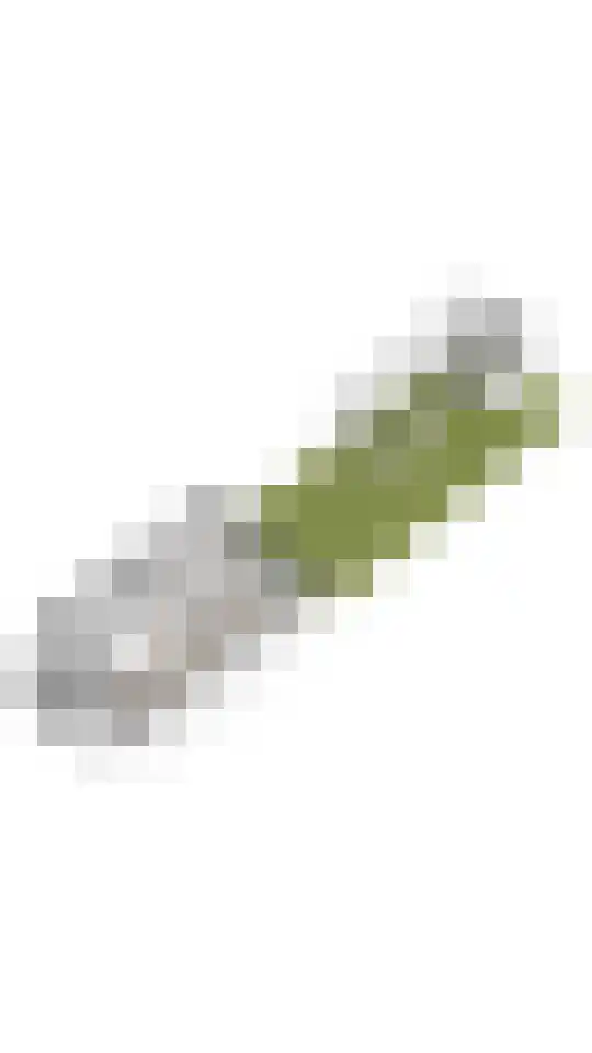 Westkade 107 Huizen thumbnail 37